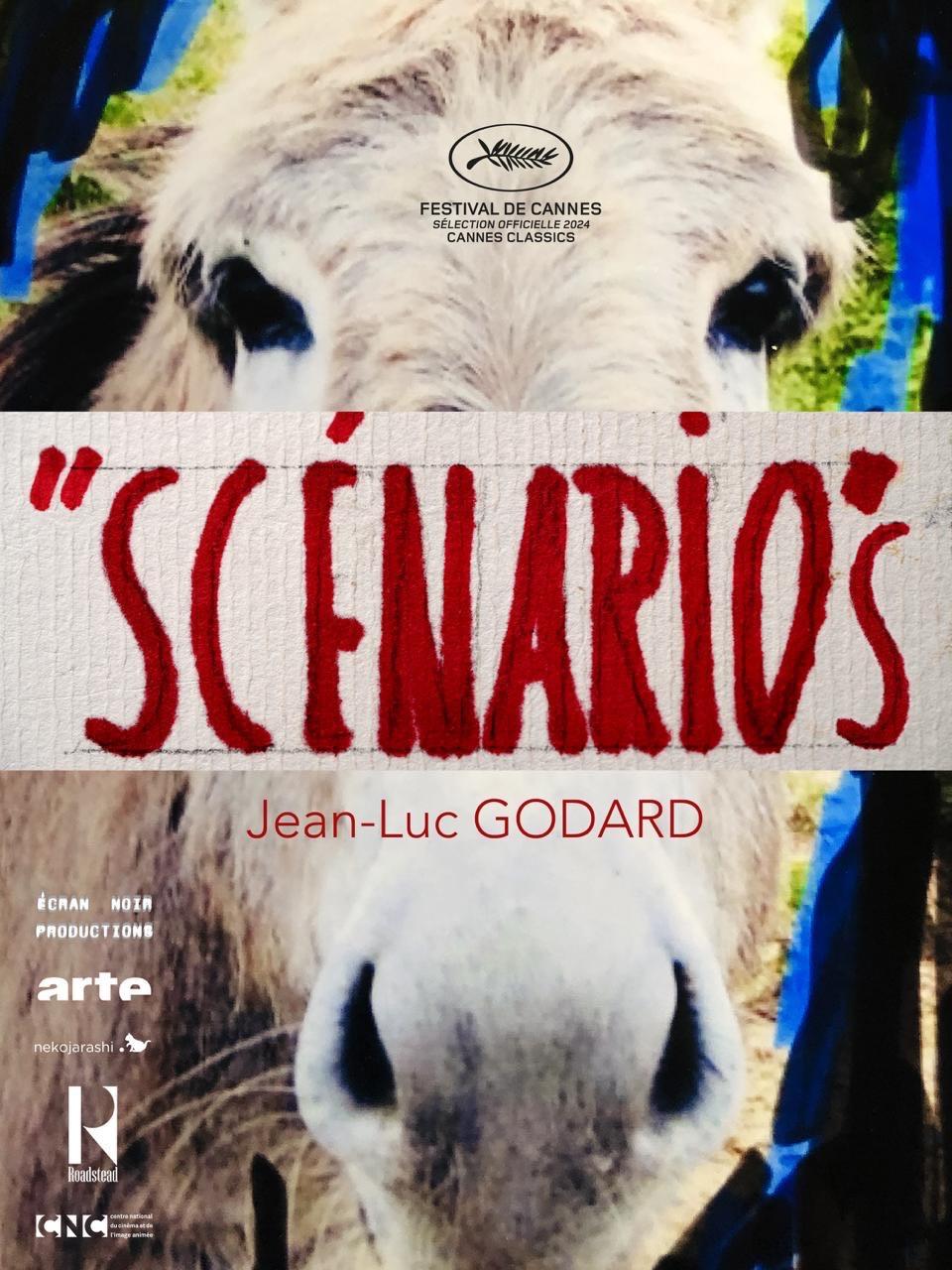 Scenarios Poster