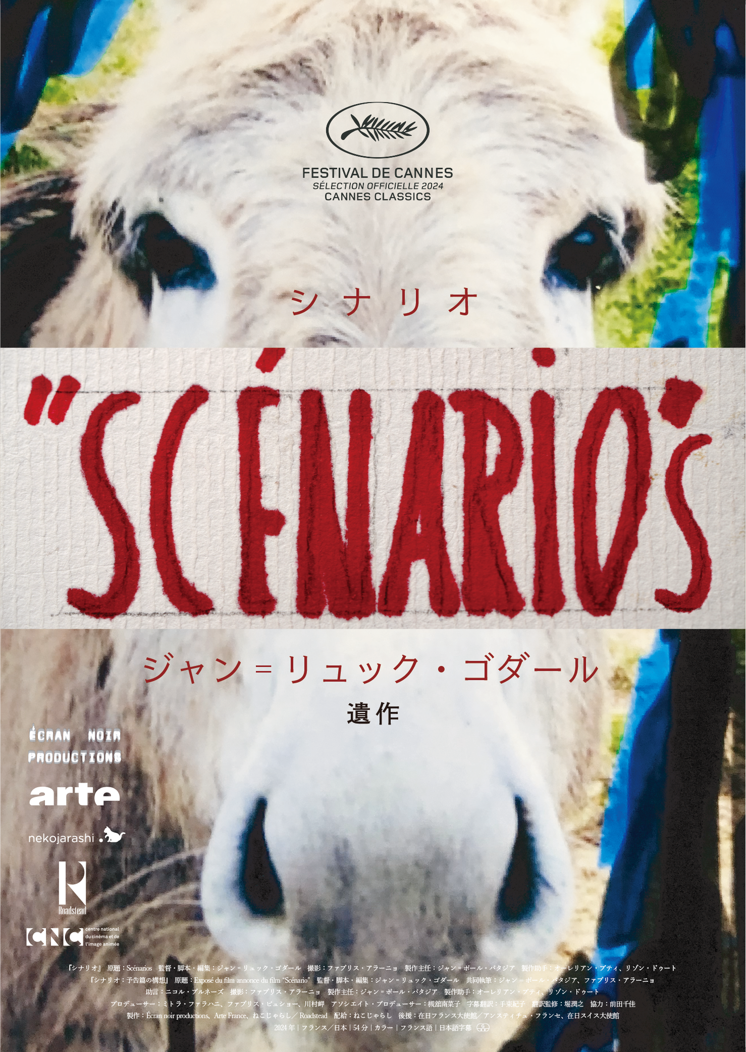 映画『シナリオ』ポスター